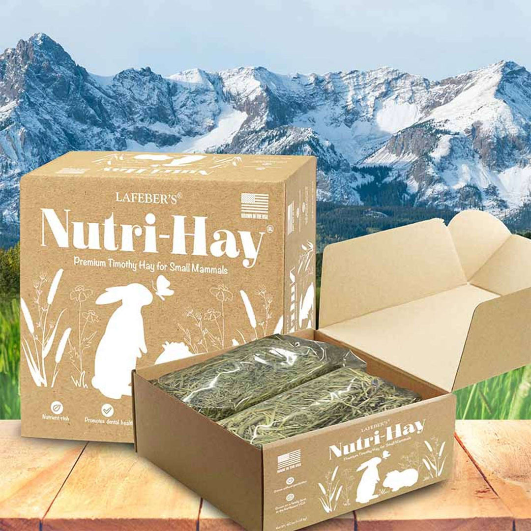 45006-nutri-hay-timothy-hay
