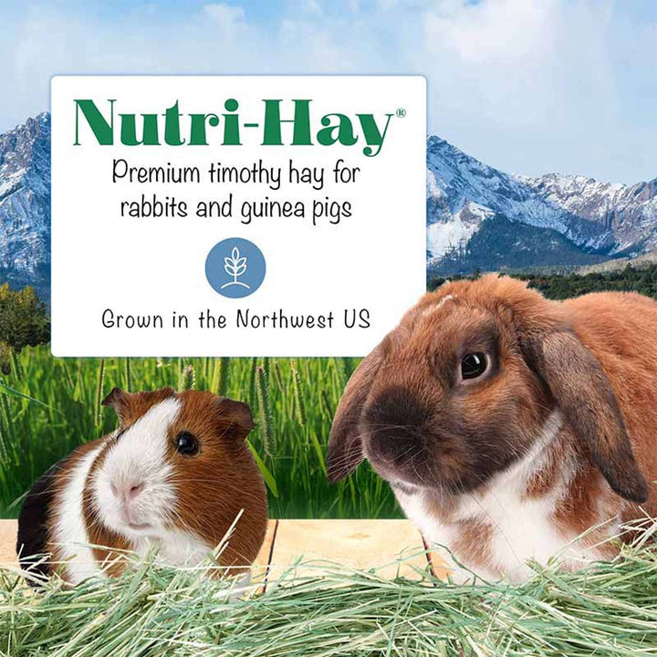 Lafeber Nutri-Hay for Rabbits & Guinea Pigs, 40 oz – BirdieBoutique.com