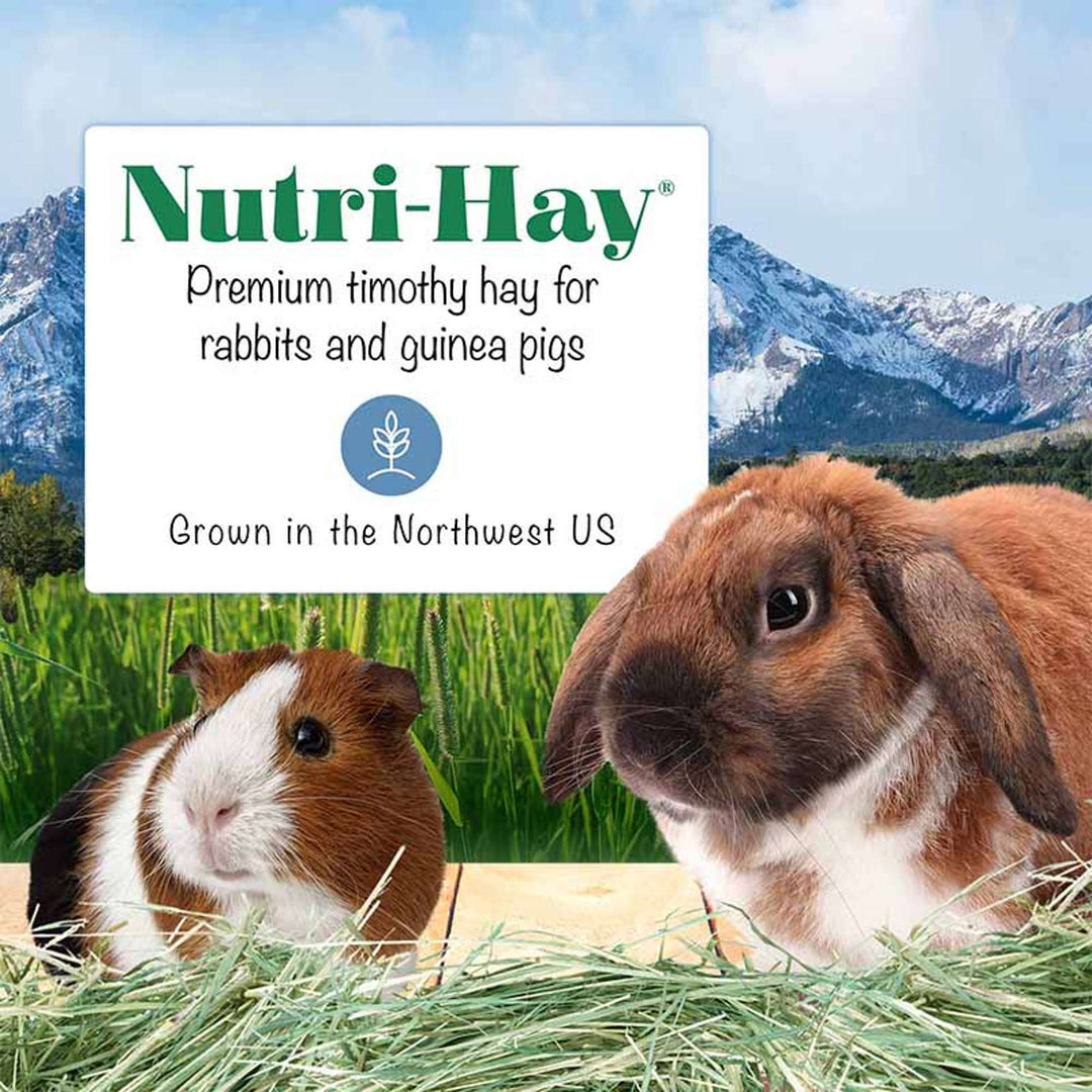 45006-nutri-hay-premium-timothy-hay-for-rabbits-and-guinea-pigs-grown-in-the-northwest-USA