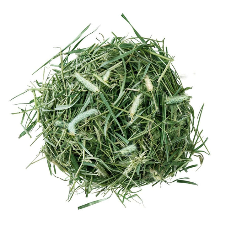 45006-nutri-hay-fiber-timothy-hay