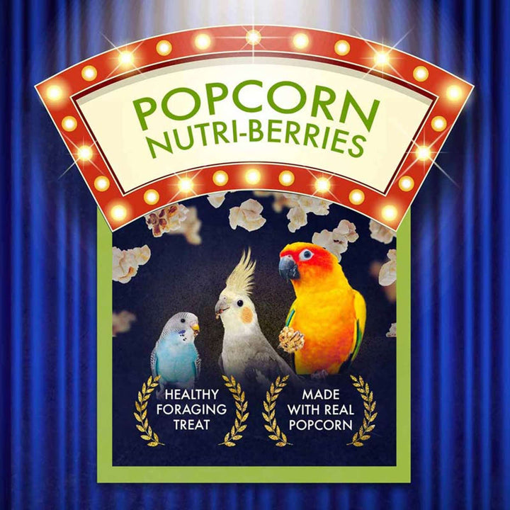 61640-nutri-berries-popcorn-small-bird-healthy-foraging-treat-made-with-real-popcorn