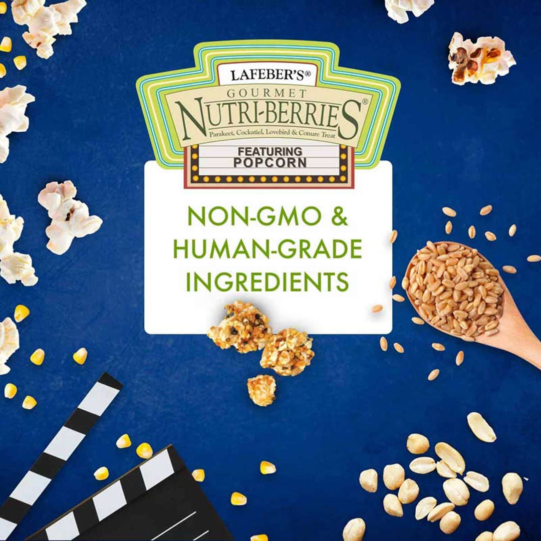 61640-nutri-berries-popcorn-small-bird-non-gmo-human-grade-ingredients
