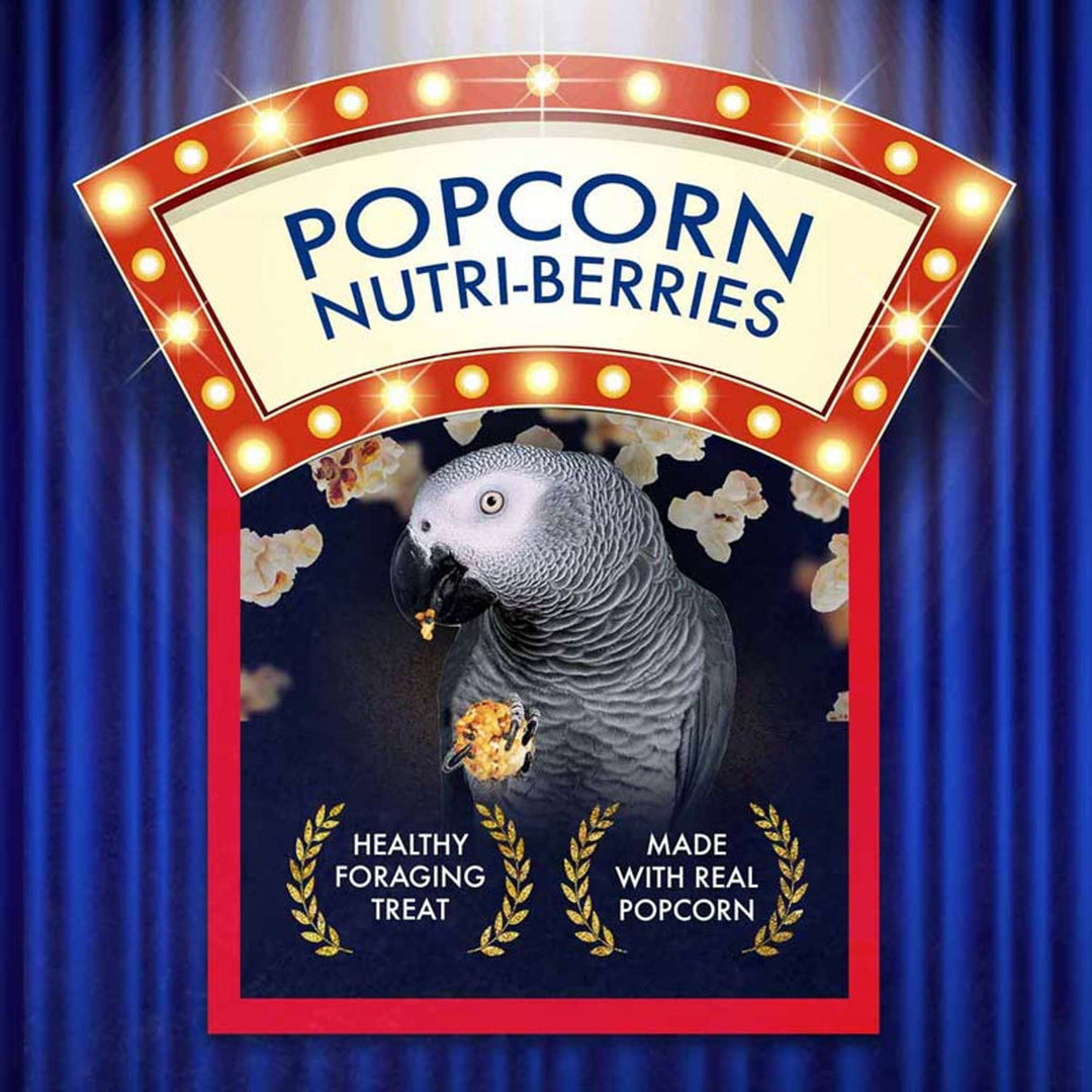 61650--popcorn-nutri-berries-parrot-healthy-foraging-treat-made-with-real-popcorn