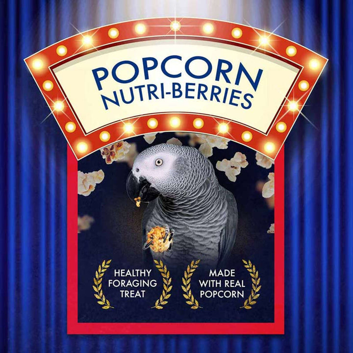 61650--popcorn-nutri-berries-parrot-healthy-foraging-treat-made-with-real-popcorn