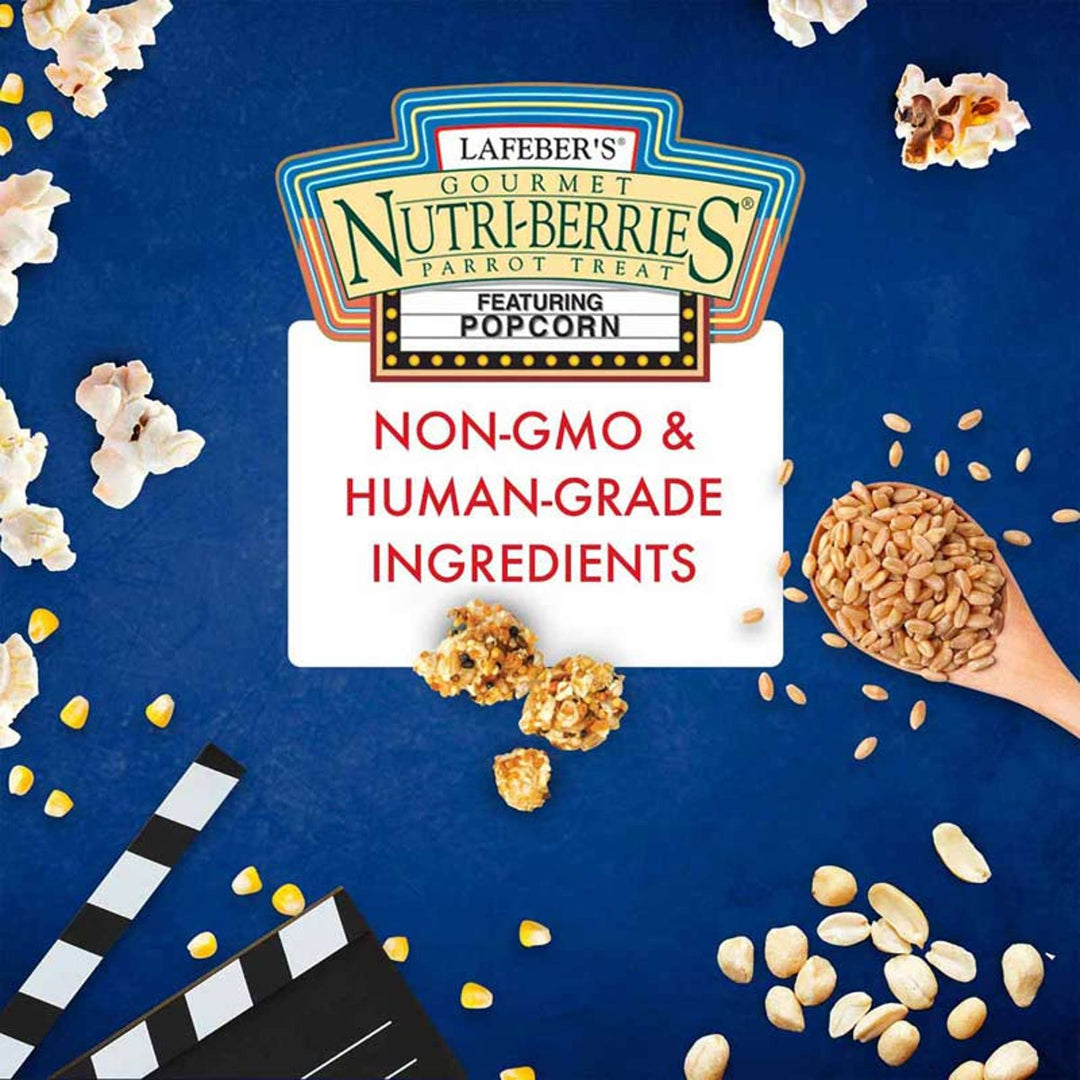 61650--popcorn-nutri-berries-parrot-non-gmo-human-grade-ingredients