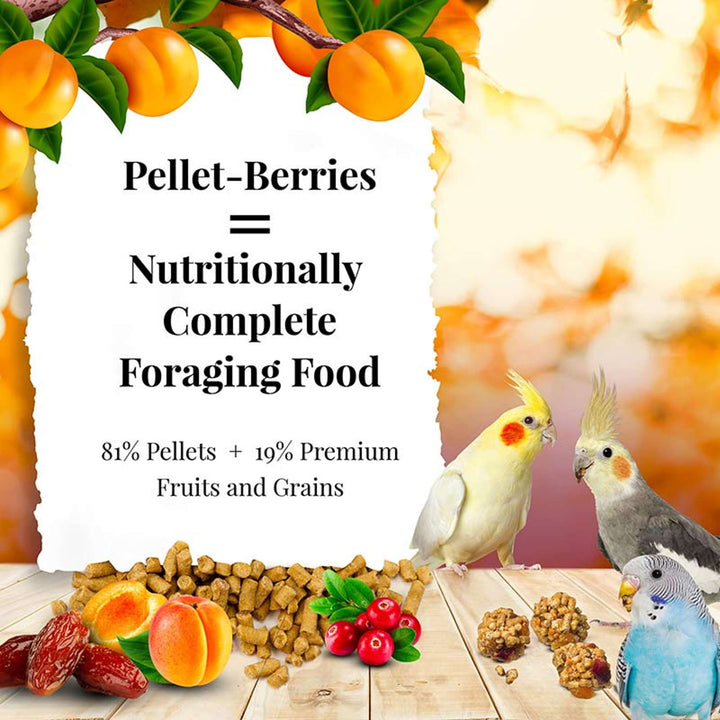 71740-pellet-berries-cockatiel-nutritionally-complete-foraging-food