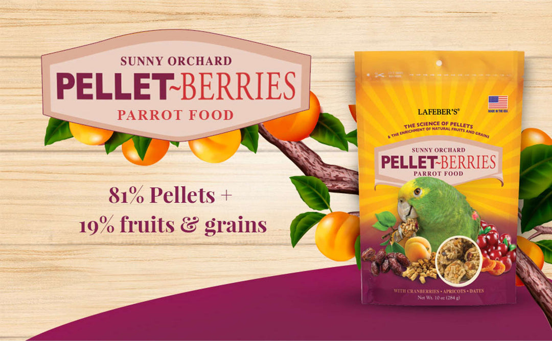 71750-pellet-berries-parrot-81%-pellets-19%-fruits-grains