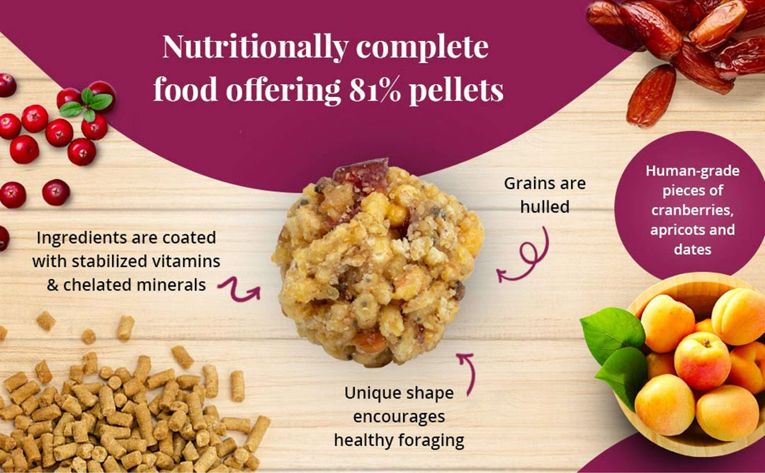 71750-pellet-berries-parrot-nutritionally-complete-offering-81%-pellets