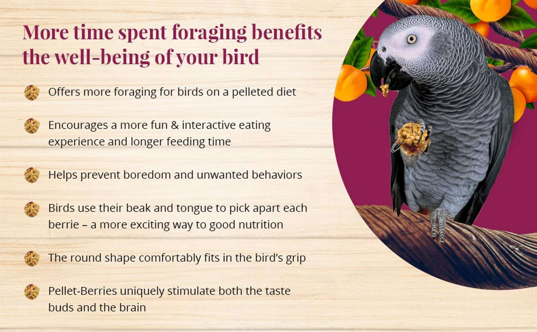 71750-pellet-berries-parrot-more-time-spent-foraging-benefits-the-well-being-of-your-bird