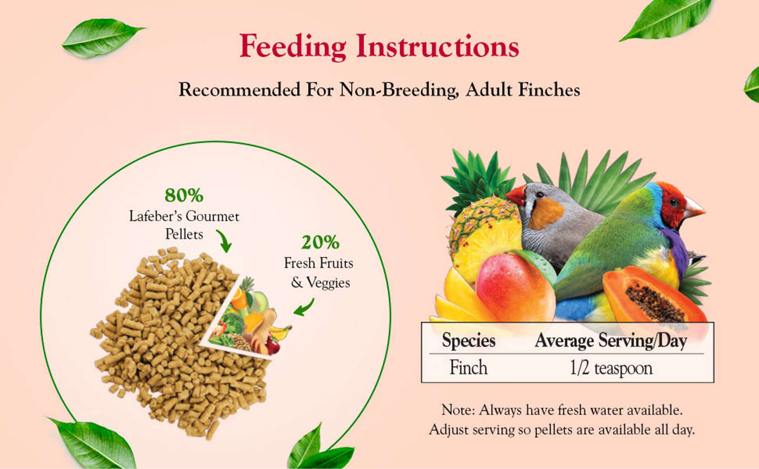 72610-tropical-fruit-gourmet-pellets-finch-feeding-ingredients