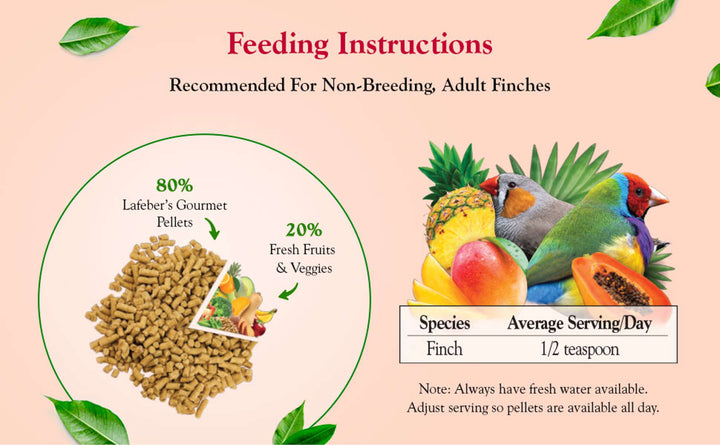 72610-tropical-fruit-gourmet-pellets-finch-feeding-ingredients
