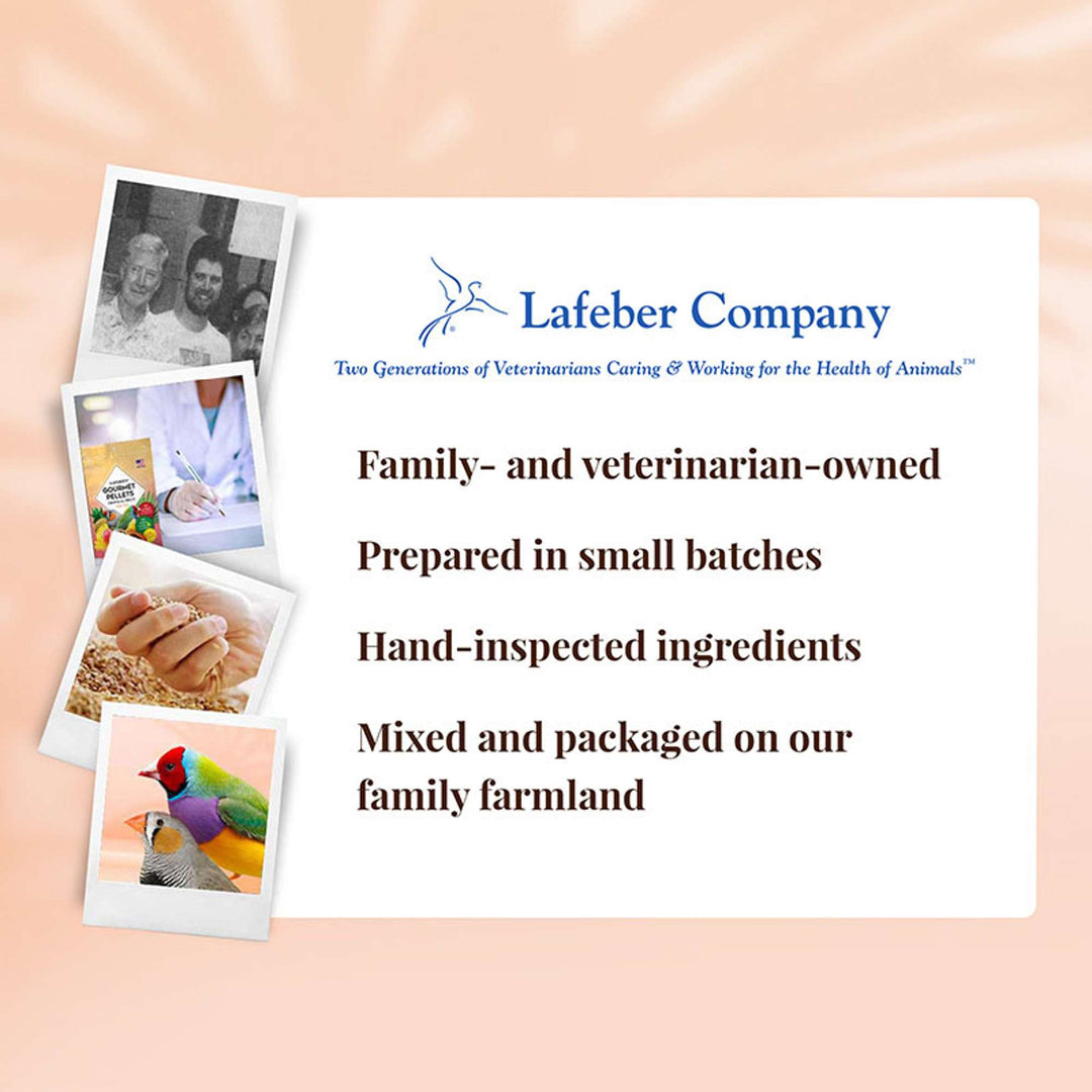 72610-tropical-fruit-gourmet-pellets-finch-lafeber-company