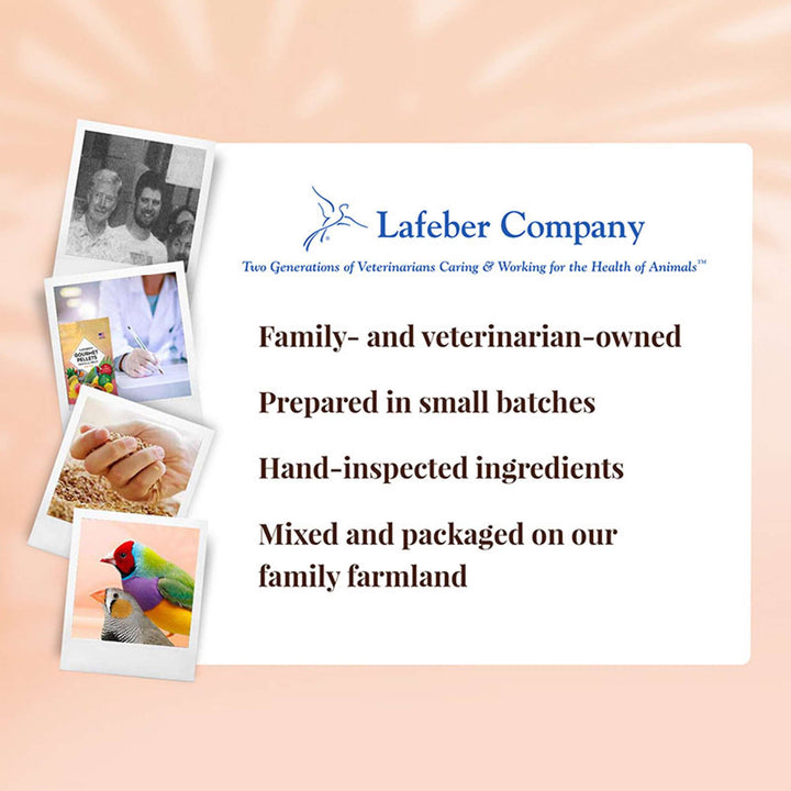 72610-tropical-fruit-gourmet-pellets-finch-lafeber-company