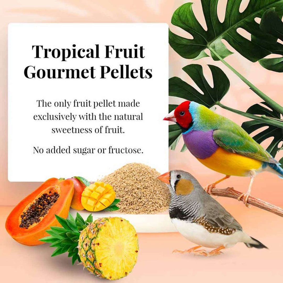 72610-tropical-fruit-gourmet-pellets-finch-the-only-fruit-pellet-made-exclusively-with-natural-sweetness-of-fruit-no-added-sugar-or-fructose
