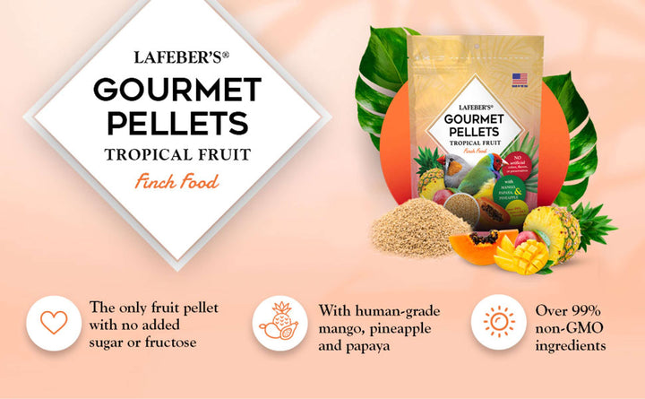 72610-tropical-fruit-gourmet-pellets-finch-the-only-fruit-pellet-made-with-no-added-sugar-or-fructose-with-human-grade-mango-pineapple-papaya-over-99%-non-GMO-ingredients