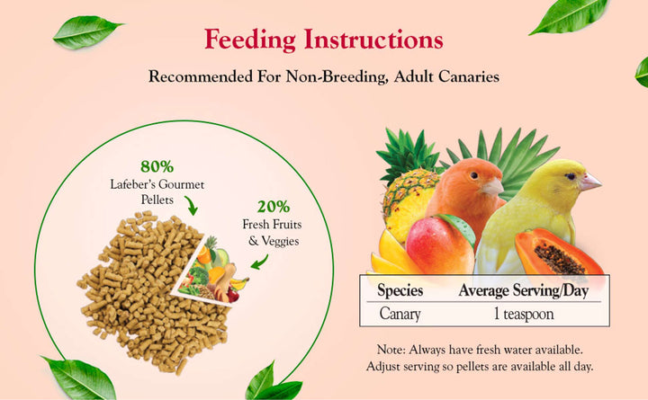 72620-tropical-fruit-gourmet-pellets-canary-feeding-instructions