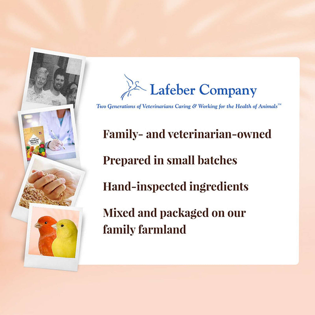 72620-tropical-fruit-gourmet-pellets-canary-lafeber-company