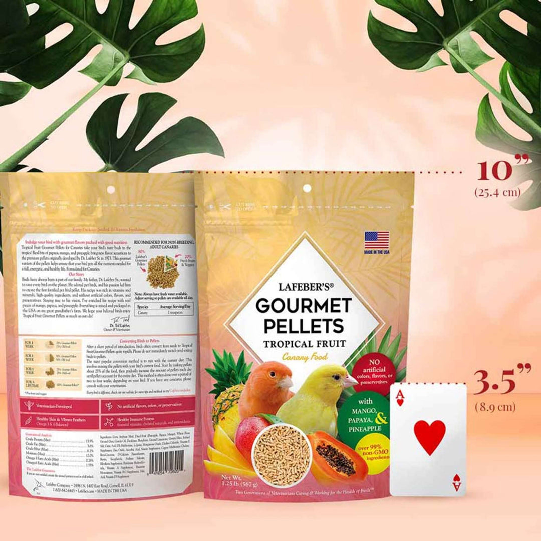 72620-tropical-fruit-gourmet-pellets-canary-size