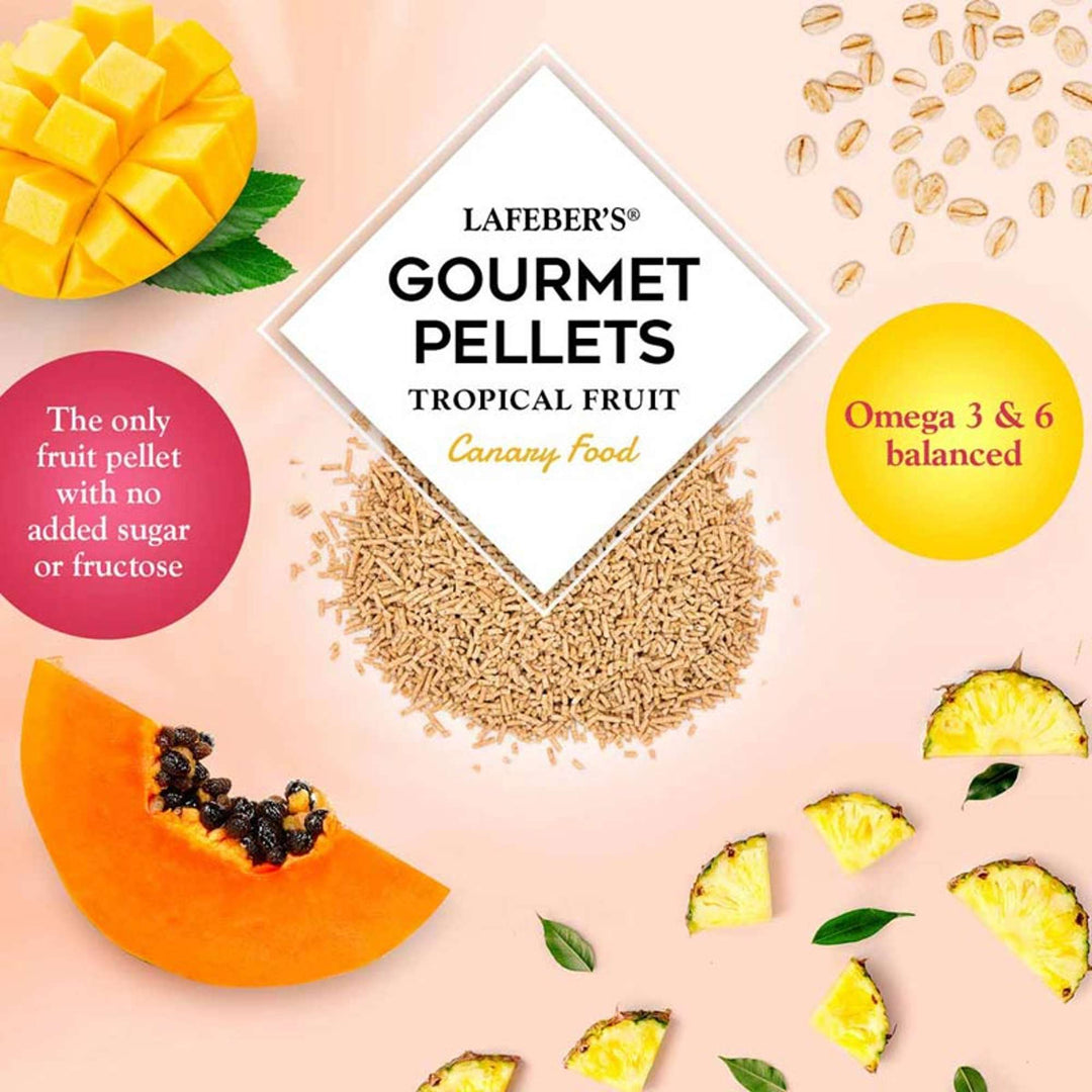 72620-tropical-fruit-gourmet-pellets-canary-the-only-fruit pellet-with-no-added-sugar-or-fructose-omega-3-and-6-balanced
