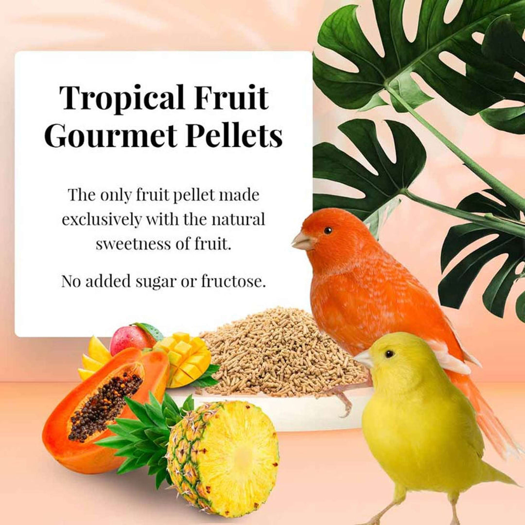 72620-tropical-fruit-gourmet-pellets-canary-the-only-fruit-pellet-made-exclusively-with-the-natural-sweetness-of-fruit-no-added-sugar-or-fructose