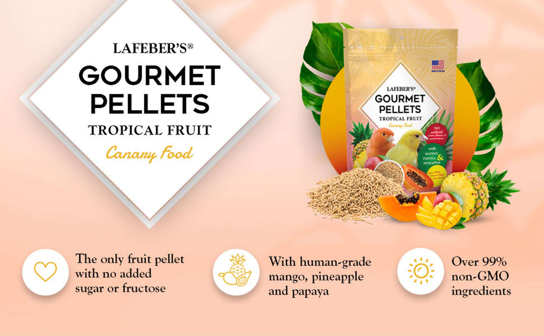 72620-tropical-fruit-gourmet-pellets-canary-the-only-fruit-pellet-with-no-added-sugar-or-fructose-with-human-grade-mango-pineapple-papaya-over-99%-non-GMO-ingredients