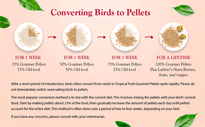 72630-tropical-fruit-gourmet-pellets-parakeet-converting-birds-to-pellets