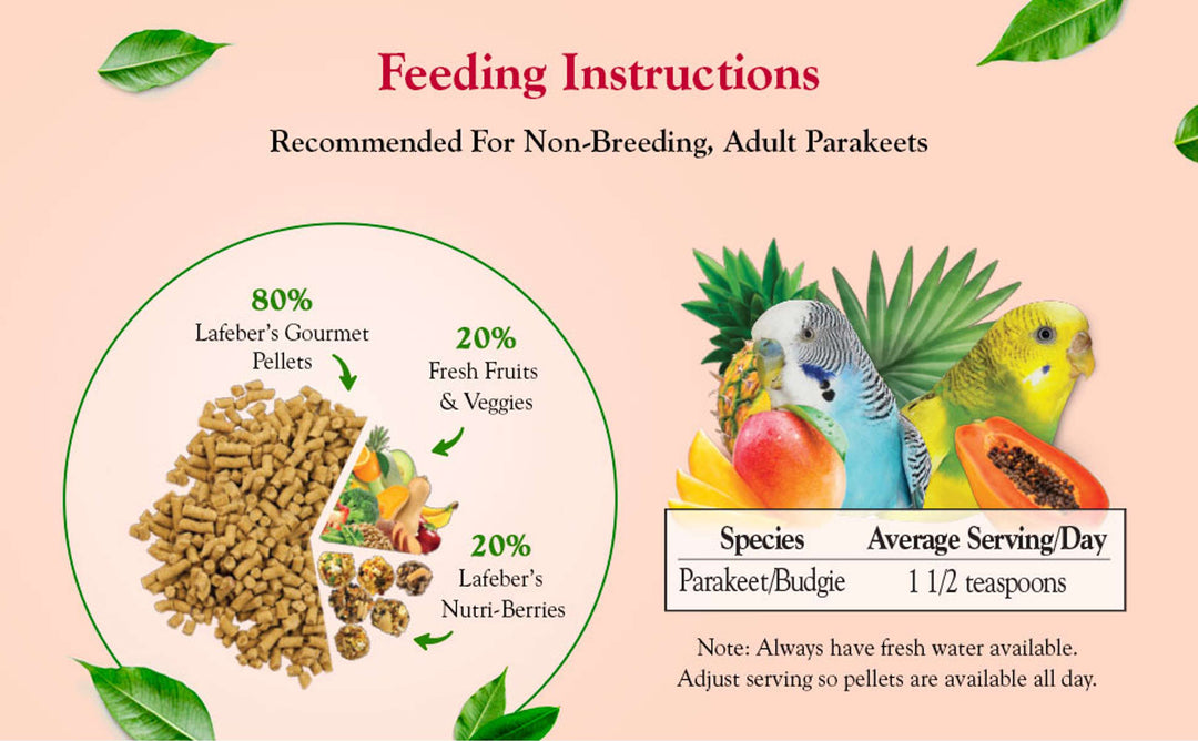 72630-tropical-fruit-gourmet-pellets-parakeet-feeding-instructions