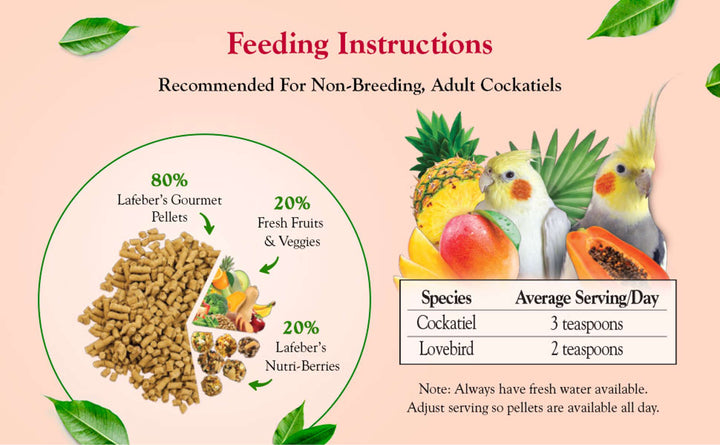 72640-tropical-fruit-gourmet-pellets-cockatiel-feeding-instructions