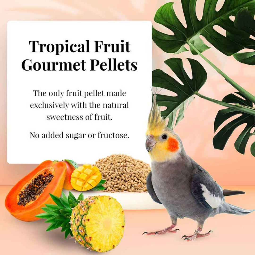 72640-tropical-fruit-gourmet-pellets-cockatiel-the-only-fruit-pellet-made-exclusively-with-the-natural-sweetness-of-fruit-no-added-sugar-or-fructose