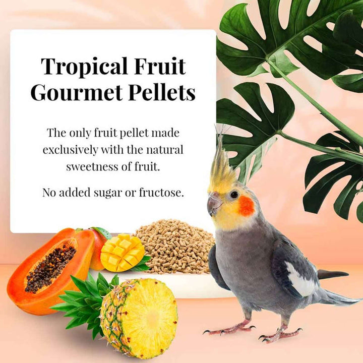 72640-tropical-fruit-gourmet-pellets-cockatiel-the-only-fruit-pellet-made-exclusively-with-the-natural-sweetness-of-fruit-no-added-sugar-or-fructose