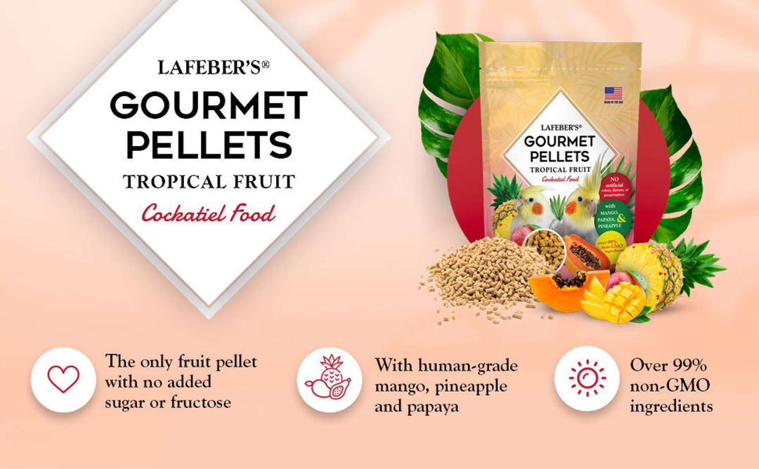 72640-tropical-fruit-gourmet-pellets-cockatiel-no-added-sugar-or-fructose-with-human-grade-mango-pineapple-papaya-over-99%-non-GMO-ingredients