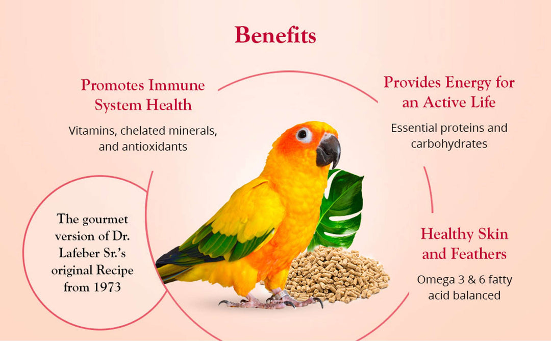 72645-tropical-fruit-gourmet-pellets-conure-promotes-immune-system-health-provides-energy-for-an-active-life-healthy-skin-and-feathers
