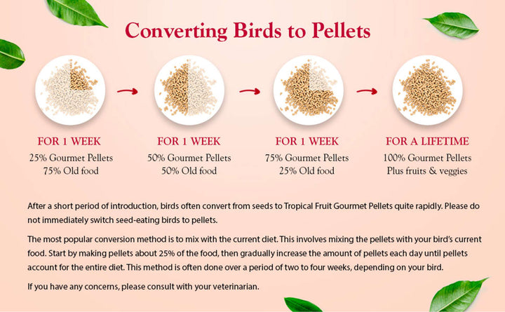 72645-tropical-fruit-gourmet-pellets-conure-converting-birds-to-pellets
