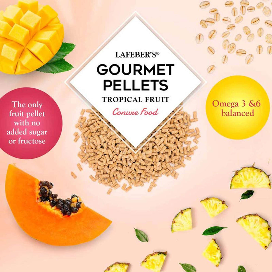 72645-tropical-fruit-gourmet-pellets-conure-the-only-fruit-pellet-with-no-added-sugar-or-fructose-omega-3-omega-6-balanced