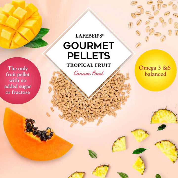 72645-tropical-fruit-gourmet-pellets-conure-the-only-fruit-pellet-with-no-added-sugar-or-fructose-omega-3-omega-6-balanced
