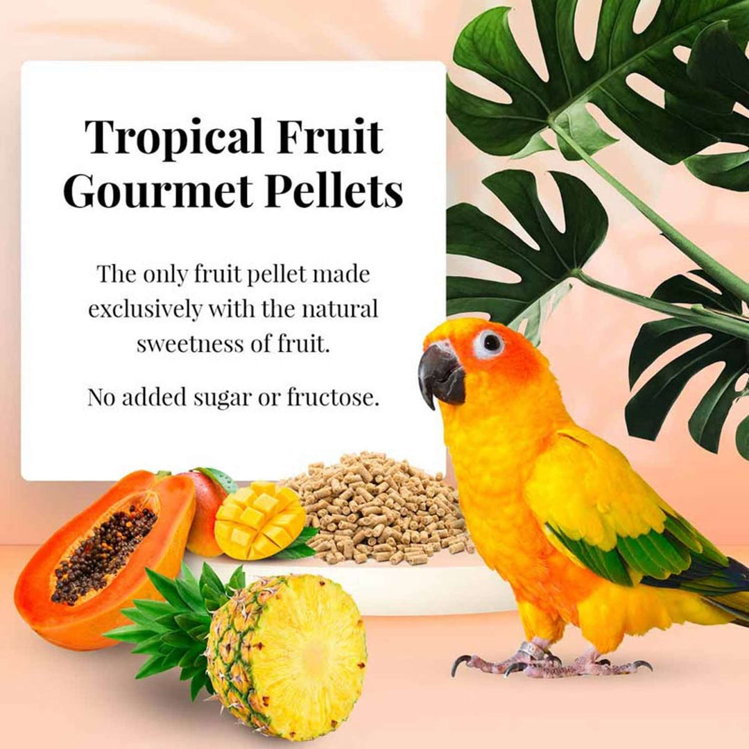 72645-tropical-fruit-gourmet-pellets-conure-the-only-fruit-pellet-made-exclusively-with-the-natural-sweetness-of-fruit-no-added-sugar-or-fructose