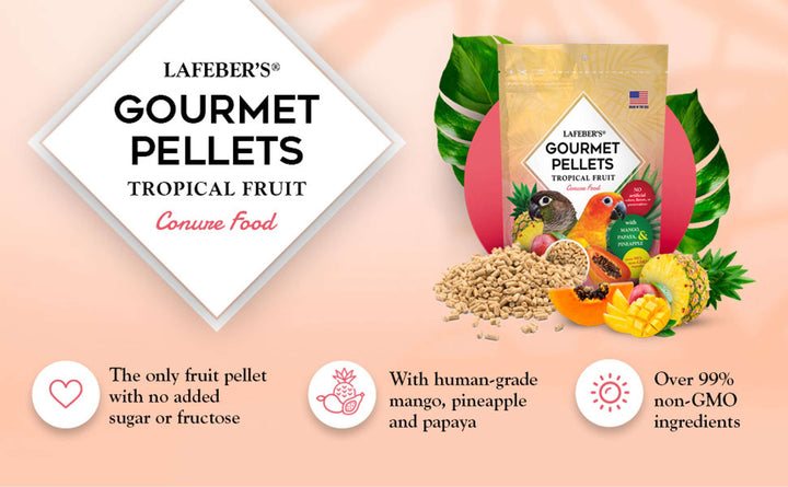 72645-tropical-fruit-gourmet-pellets-conure-no-added-sugar-or-fructose-with-human-grade-mango-pineapple-papaya-over-99%-non-GMO-ingredients