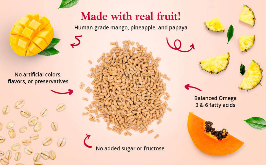 72645-tropical-fruit-gourmet-pellets-conure-made-with-real-fruit-human-grade-mango-pineapple-and-papaya