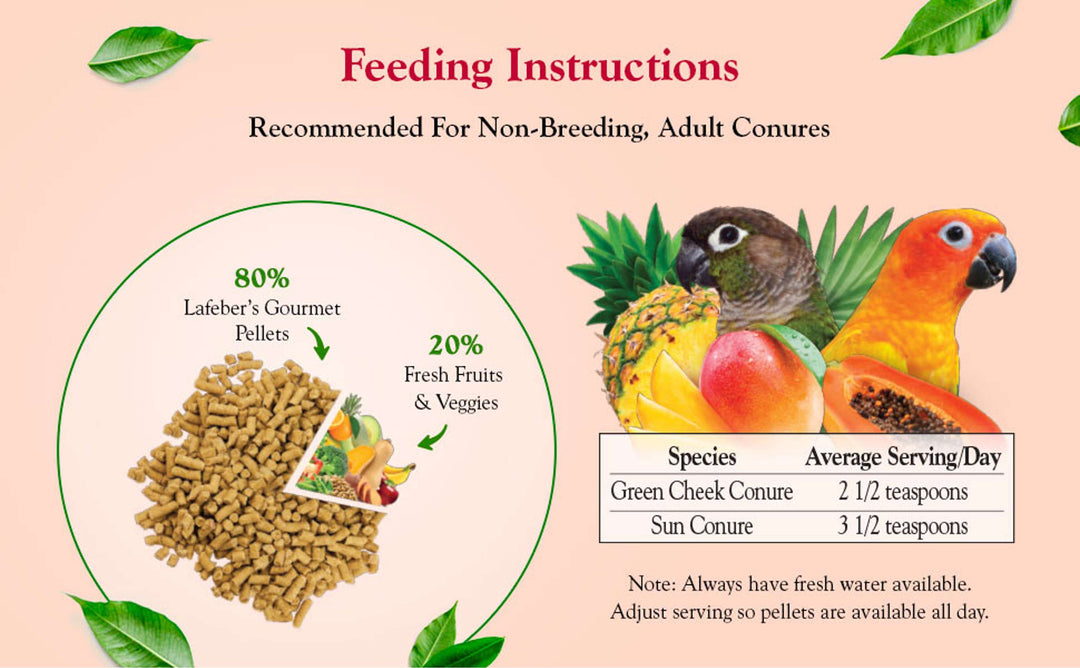72647-tropical-fruit-gourmet-pellets-conure-feeding-instructions