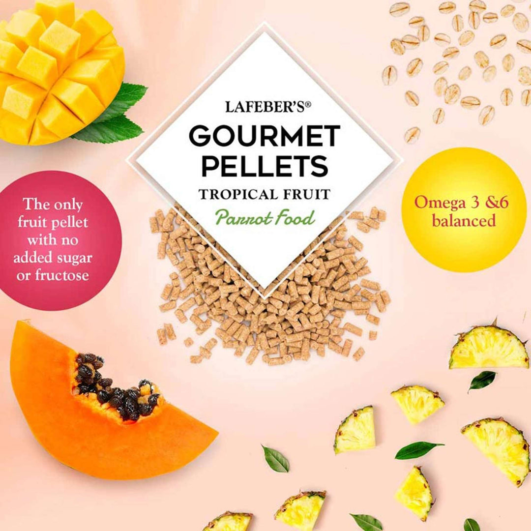 72650-tropical-fruit-gourmet-pellets-parrot-only-fruit-pellet-with-no-added-sugar-or-fructuose-omega-3-omega-6-balanced