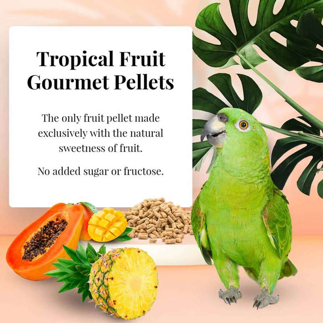72650-tropical-fruit-gourmet-pellets-parrot-the-only-fruit-pellet-made-exclusively-with-the-natural-sweetness-of-fruit-no-added-sugar-or-fructose