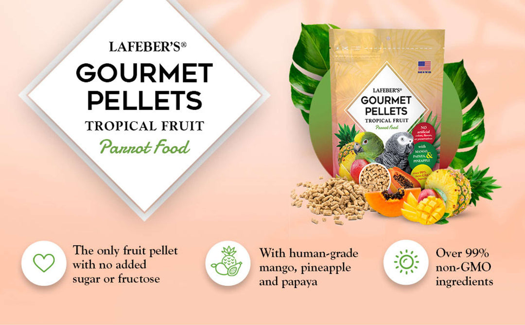 72650-tropical-fruit-gourmet-pellets-parrot-human-grade-mango-pineapple-and-papaya-over-99%-non-GMO-ingredients