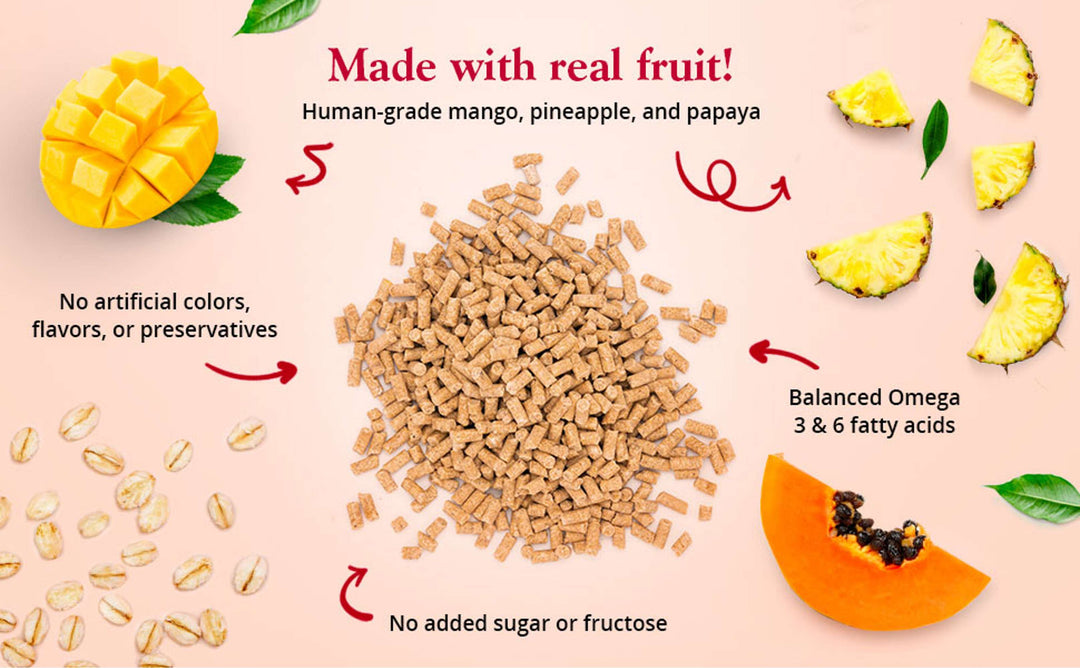 72650-tropical-fruit-gourmet-pellets-parrot-made-with-real-fruit-human-grade-mango-pineapple-papaya