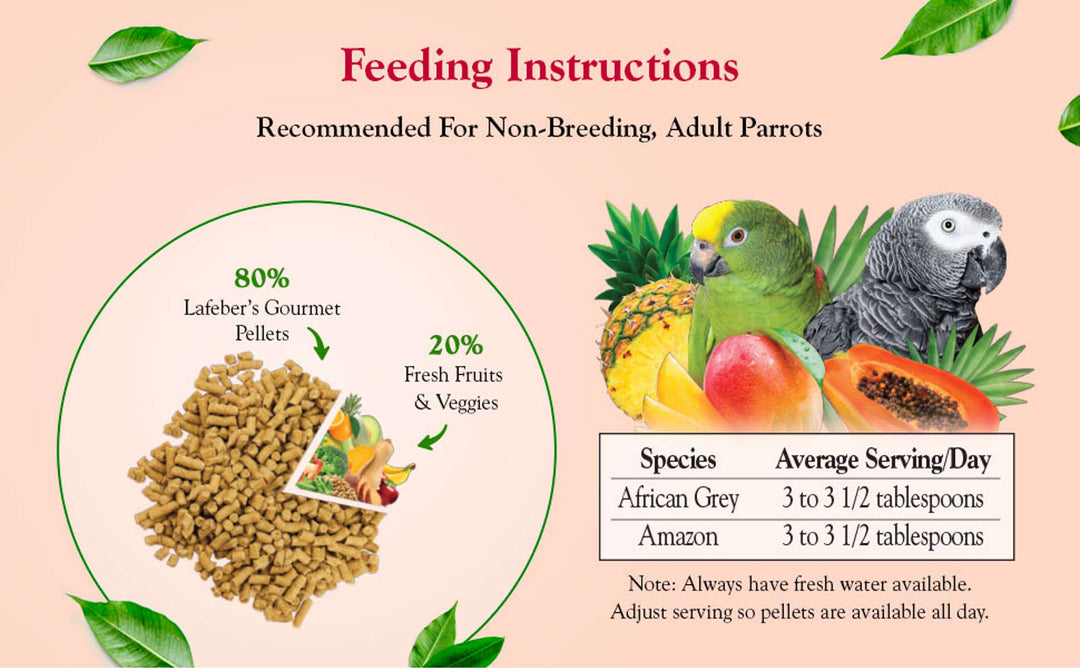 72652-tropical-fruit-gourmet-pellets-parrot-feeding-instructions