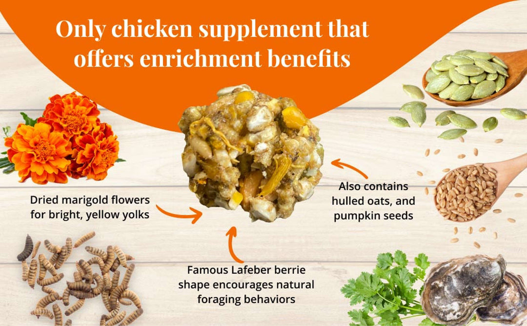 73010-booster-berries-enrich-10oz-only-chicken-supplement-that-offers-enrichment-benefits