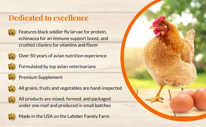 73010-booster-berries-enrich-10oz-dedicated-to-excellence-black-soldier-fly-larvae-50-years-of-avian-nutrition-experience-formulated-by-top-avian-veterinarians-premium-supplement-hand-inspected-produced-in-small-batches-made-in-USA
