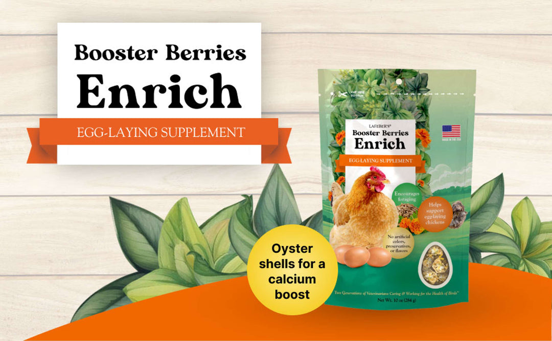 73010-booster-berries-enrich-10oz-oyster-shells-for-a-calcium-boost