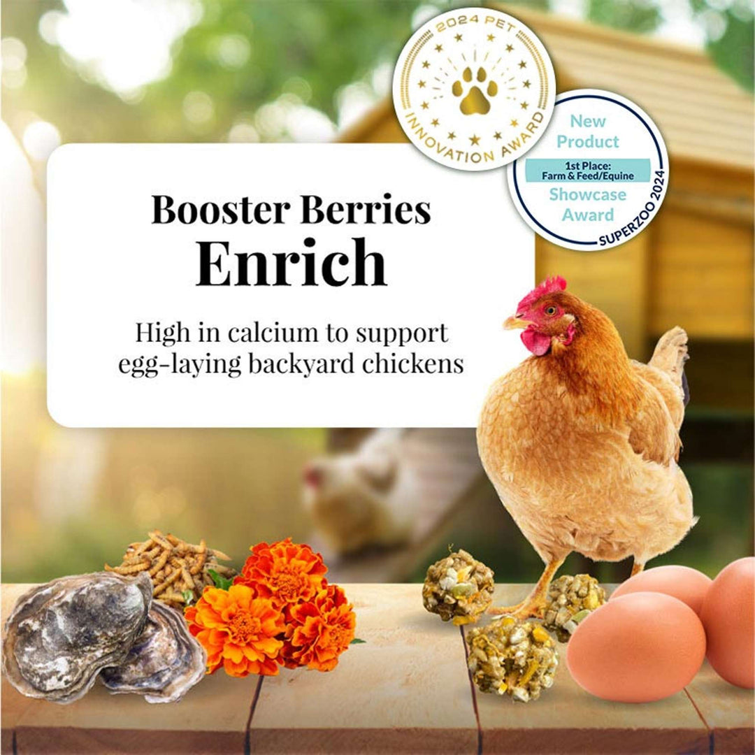73012-booster-berries-enrich-3lb-high-in-calcium-to-support-egg-laying-backyard-chickens