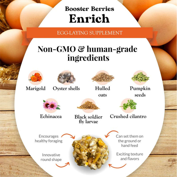 73012-booster-berries-enrich-3lb-non-GMO-human-grade-ingredients