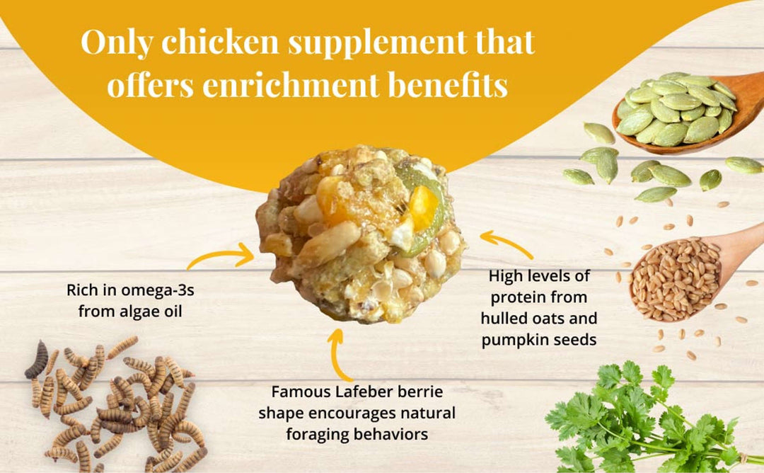 73020-booster-berries-radiate-10oz-only-chicken-supplement-that-offers-enrichment-benefits